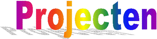 Projecten