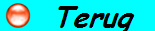 Terug